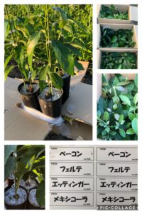 落ち着きました